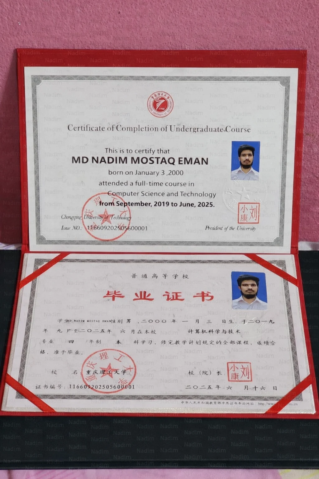 Certificate Preview 2
